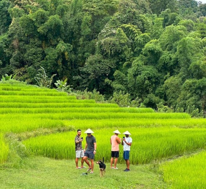 Chiang Mai: Doi Inthanon Park and Pha Dok Siew Trail Trek - Transport, timing, and the real cost of the day
