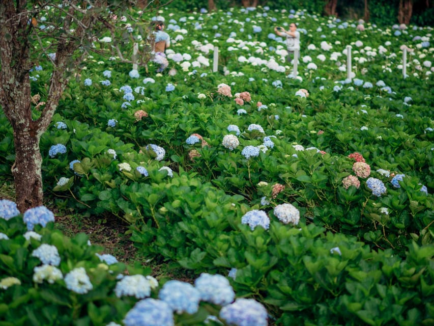 Chiang Mai: Doi Inthanon Park and Pha Dok Siew Trail Trek - Pha Dok Siew Trail: the day’s main attraction