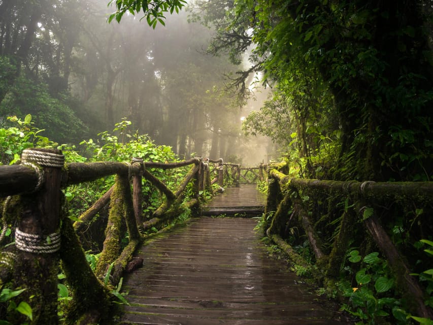 Chiang Mai: Doi Inthanon Park and Pha Dok Siew Trail Trek - Coffee at Baan Mae Klang Luang
