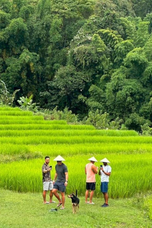 Chiang Mai: Doi Inthanon Park and Pha Dok Siew Trail Trek - The summit: cool air and uncertain views