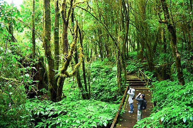 CHIANG MAI: Doi Inthanon-Trekking Keiw Mae Pan-Waterfall-Lunch - What the $43.12 price really covers