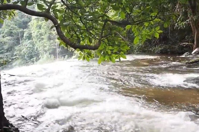 CHIANG MAI: Doi Inthanon-Trekking Pha Dok Seaw-Waterfall-Lunch - Why Doi Inthanon makes a good day trip