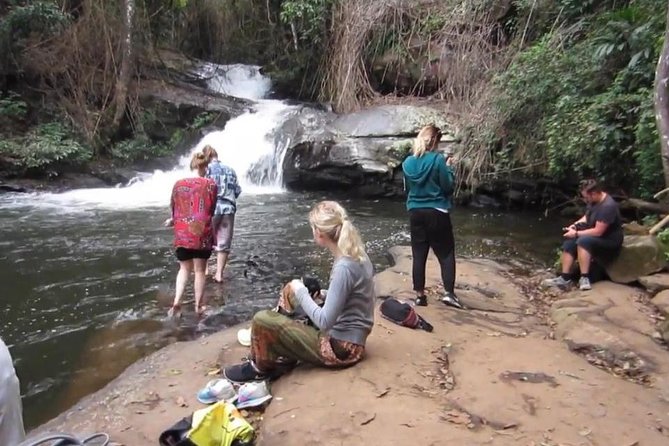CHIANG MAI: Doi Inthanon-Trekking Pha Dok Seaw-Waterfall-Lunch - What the good and bad points tell you