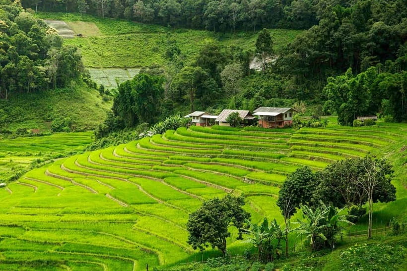Chiang Mai: Doi Inthanon Trip with Pha Dok Siew Guided Trek - The essential details at a glance