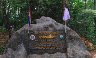 Doi Inthanon Trip with Pha Dok Siew Guided Trek