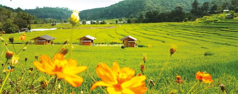 Chiang Mai: Doi Inthanon Trip with Pha Dok Siew Guided Trek - Pha Dok Siew: the walk that earns its place