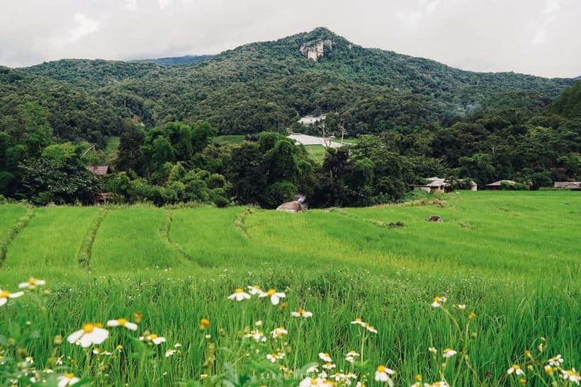 Chiang Mai: Doi Inthanon Trip with Pha Dok Siew Guided Trek - Wachirathan Waterfall and the no-swimming rule