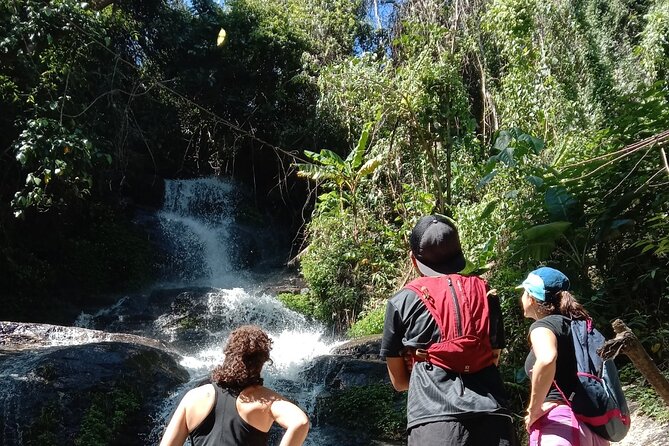 Chiang Mai: Doi Suthep Summit Trek – 7 Hour Pure Hiking Adventure - What this Doi Suthep hike is really like