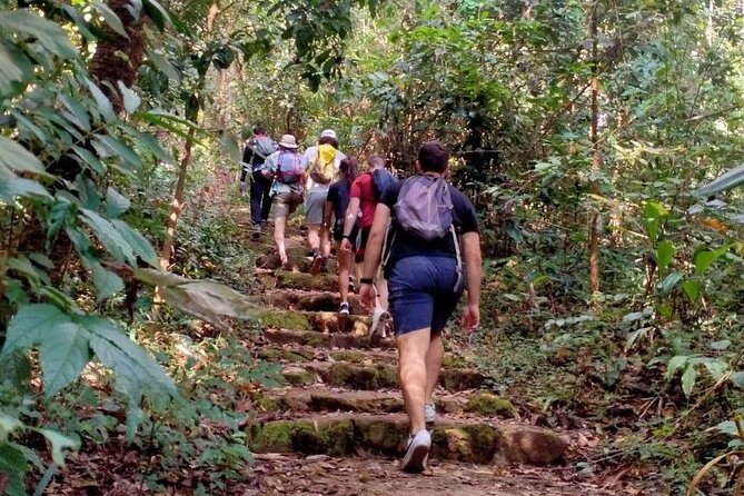 Chiang Mai: Doi Suthep Summit Trek – 7 Hour Pure Hiking Adventure - The higher climb toward Doi Pui