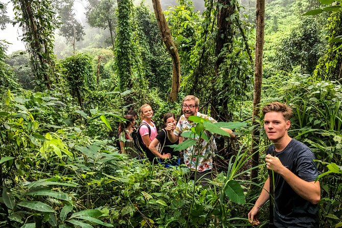 Chiang Mai: Doi Suthep Summit Trek – 7 Hour Pure Hiking Adventure - Guides, group size, and safety