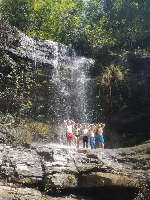 Chiang Mai: Elephant Sanctuary & Jungle Trek w/ Waterfall - Key points at a glance