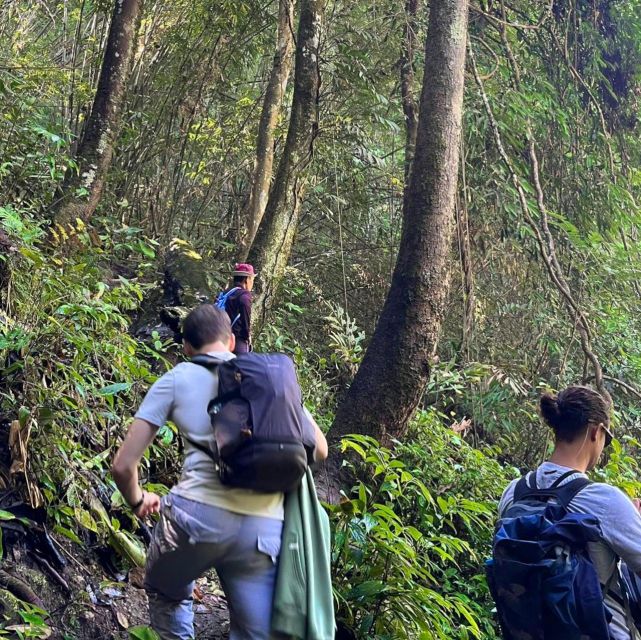 Chiang Mai: Elephant Sanctuary & Jungle Trek w/ Waterfall - Is $61 a fair price?