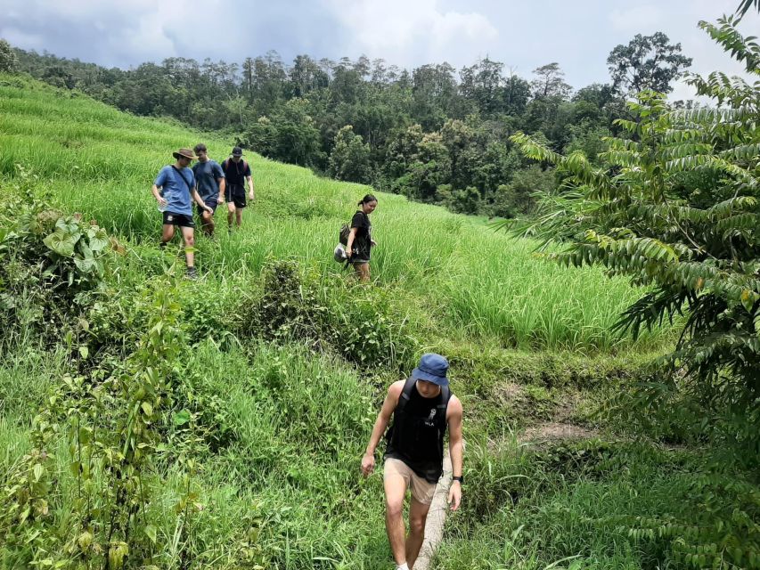 Chiang Mai: Elephant Sanctuary & Jungle Trek w/ Waterfall - A gentle start on the Mae Wang River