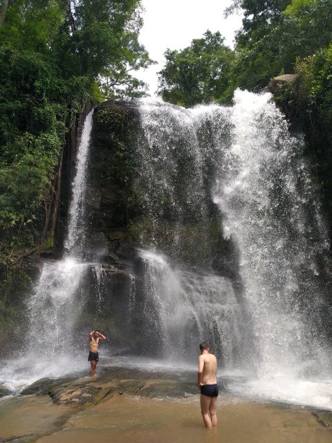 Chiang Mai: Elephant Sanctuary & Jungle Trek w/ Waterfall - Meeting the rescued elephants