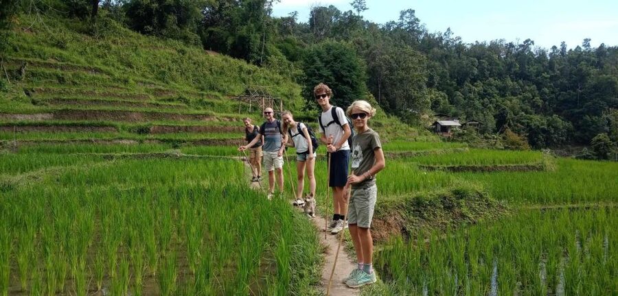 Chiang Mai: Elephant Sanctuary & Jungle Trek w/ Waterfall - Walking to the Mae Wang waterfall