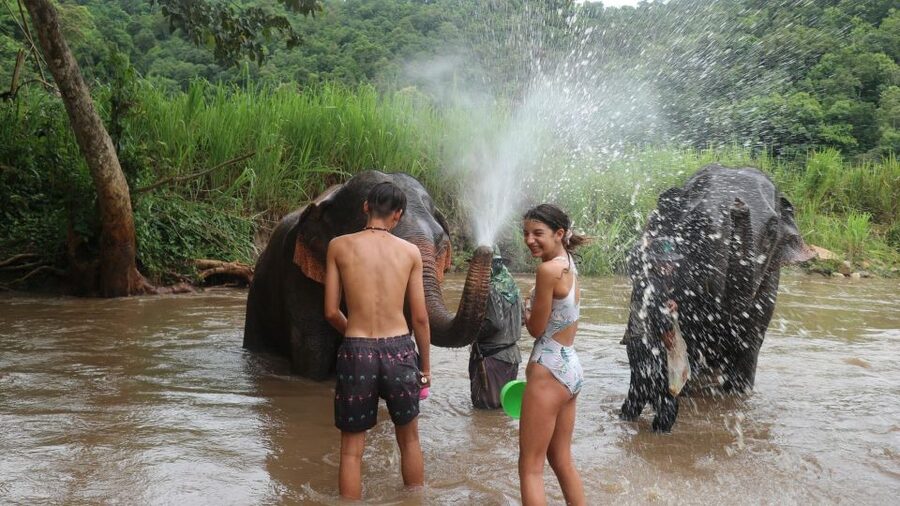 Chiang Mai: Elephant Sanctuary & Jungle Trek w/ Waterfall - A short village walk and Shan-style lunch
