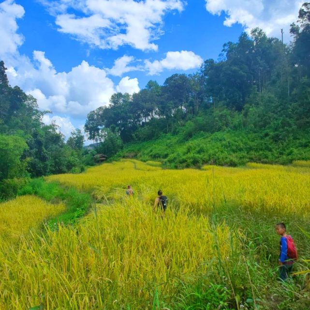 Chiang Mai: Elephant Sanctuary & Jungle Trek w/ Waterfall - Leaving Chiang Mai for Mae Wang