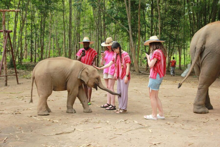 Chiang Mai: Full-Day Kerchor Elephant Eco Park Tour & Trek - Why this Chiang Mai elephant day feels different