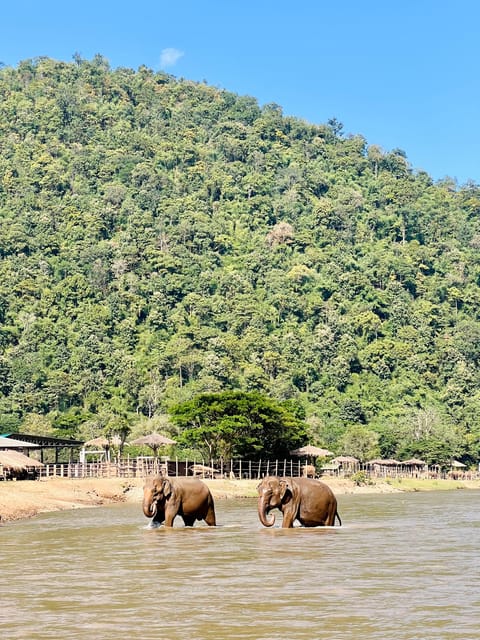 Chiang Mai Full-Day: Trekking, Tubing & Elephant Observation - Who should book this day