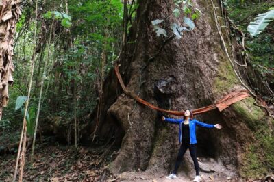 Gibbons, Trekking & Mae Kampong Small Group Tour