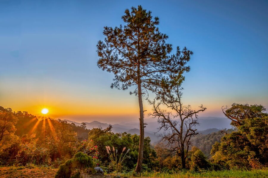 Chiang Mai: Gibbons, Trekking & Mae Kampong Small Group Tour - Who will enjoy this most