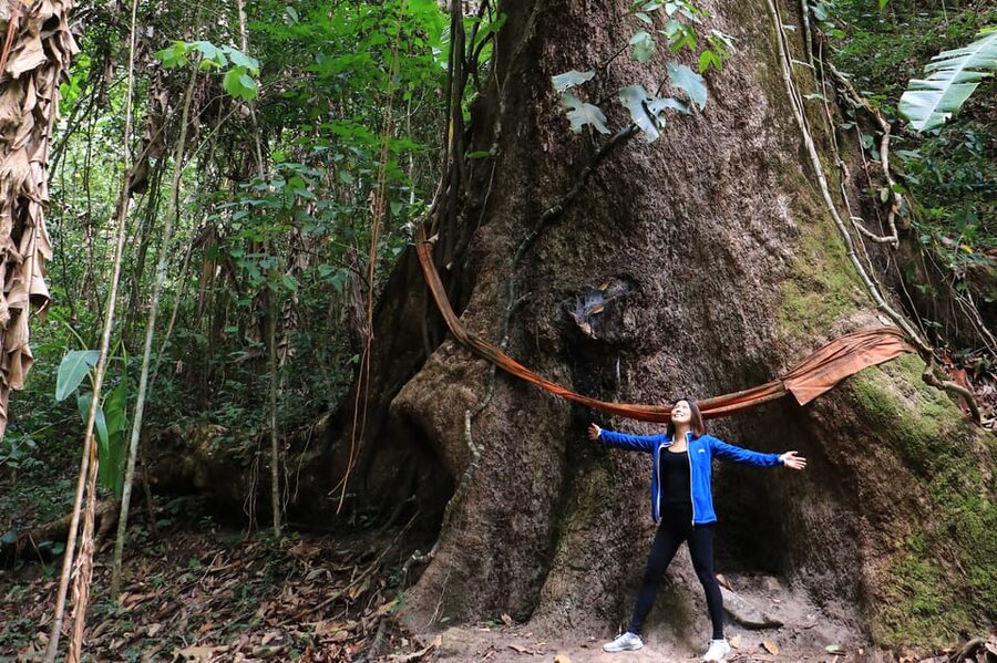 Chiang Mai: Gibbons, Trekking & Mae Kampong Small Group Tour - Mae Kampong village, coffee, and a waterfall