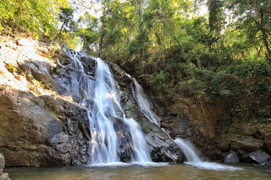 Chiang Mai: Guided Jungle and Waterfall Trek with Transfer - What the guide adds to the day