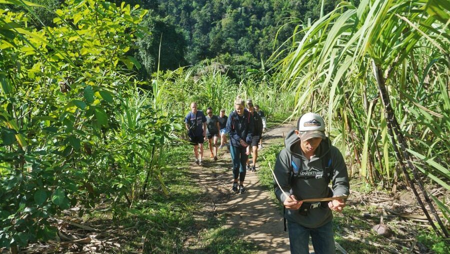 Chiang Mai: Guided Jungle and Waterfall Trek with Transfer - Timing, cancellation, and what to bring