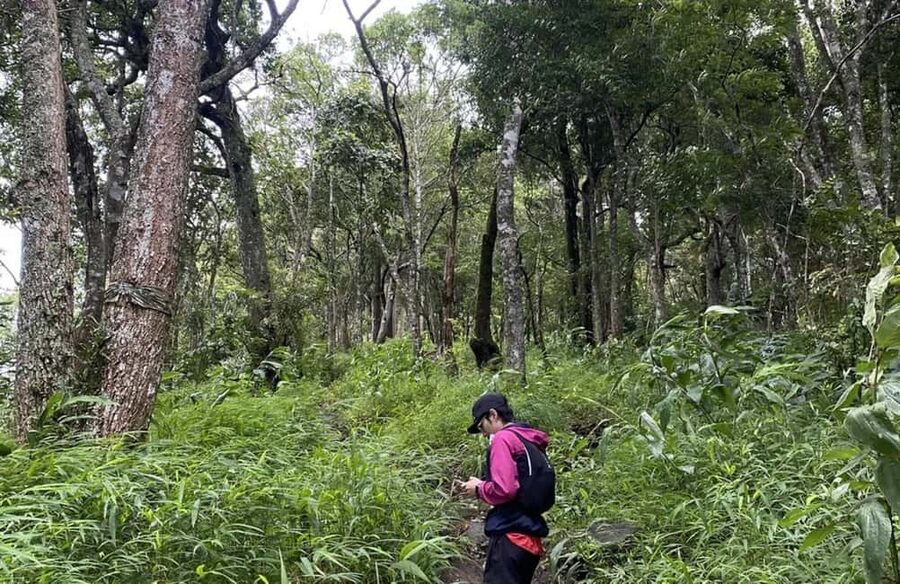 Chiang Mai: Hmong Village, Doi Suthep and Wat Pha Lat Trek - Why this Chiang Mai day trip works