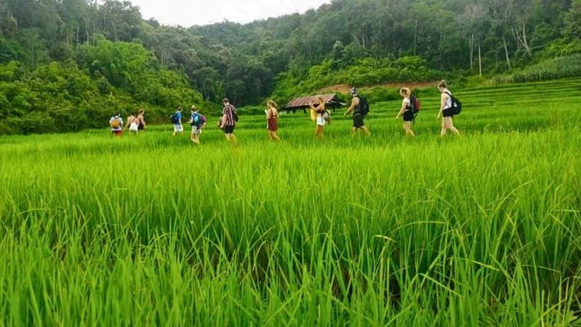 Chiang Mai: Jungle Trek, Elephants care & Bamboo Rafting - Is $58 a good value?