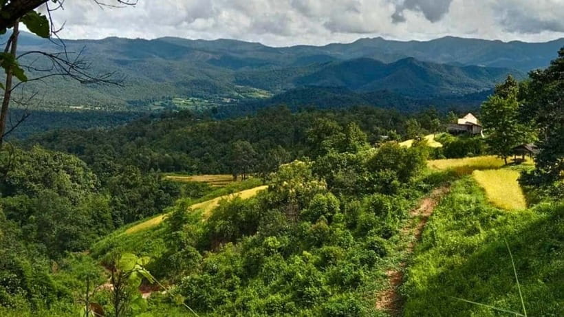 Chiang Mai: Jungle Trek, Elephants care & Bamboo Rafting - Bamboo rafting on the Mae Win river