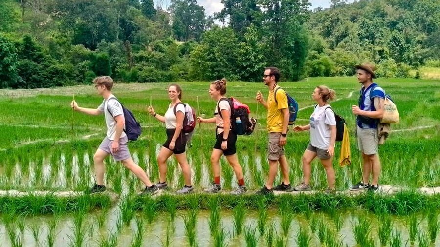 Chiang Mai: Jungle Trek, Elephants care & Bamboo Rafting - Meeting the Karen community