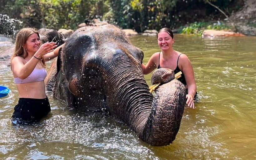 Chiang Mai: Jungle Trek, Elephants care & Bamboo Rafting - 8:15 AM pickup and the long ride south