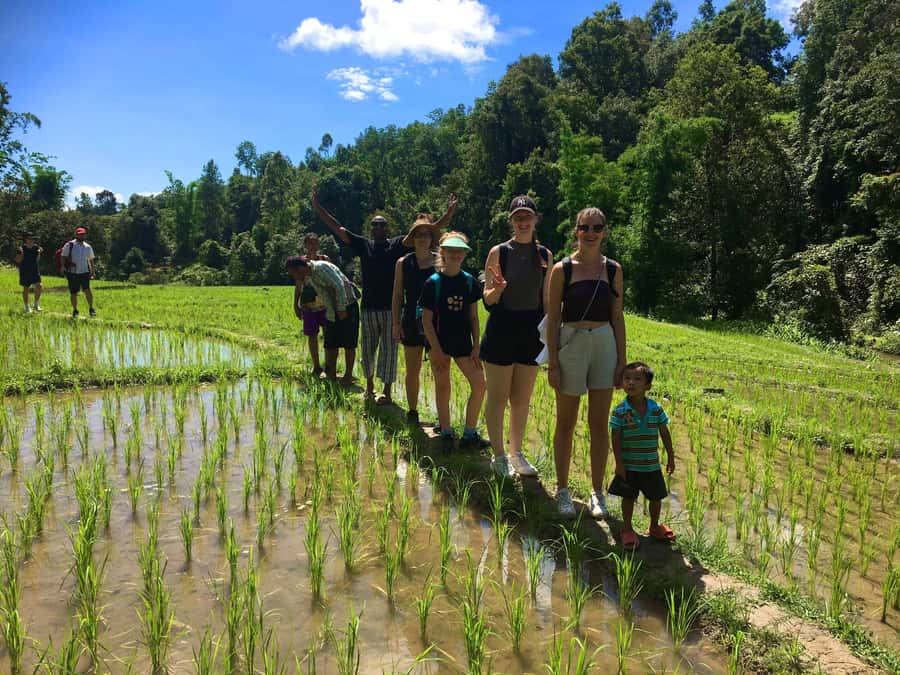 Chiang Mai: Karen Tribe & Dual Waterfalls - Private Day Trek - Key points to know before booking
