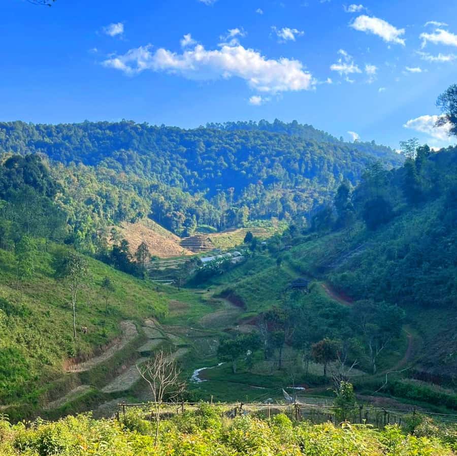 Chiang Mai: Karen Tribe & Dual Waterfalls - Private Day Trek - Guides Lee and Moo, and the role of the local welcome