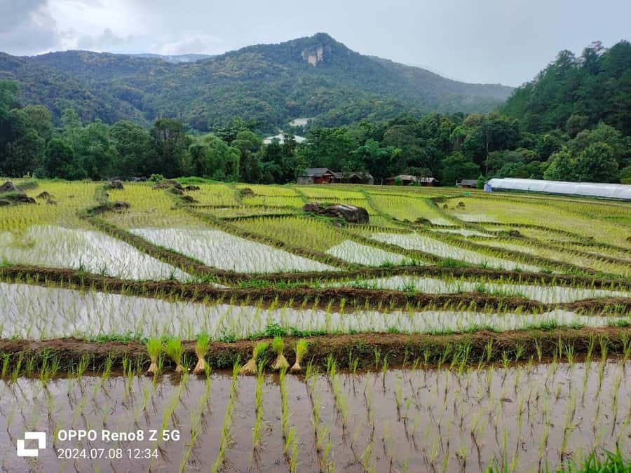 Chiang Mai: Mae Ya Waterfall & Pha Dok Siew Trail Trek - A Long Day Into Chiang Mai Province