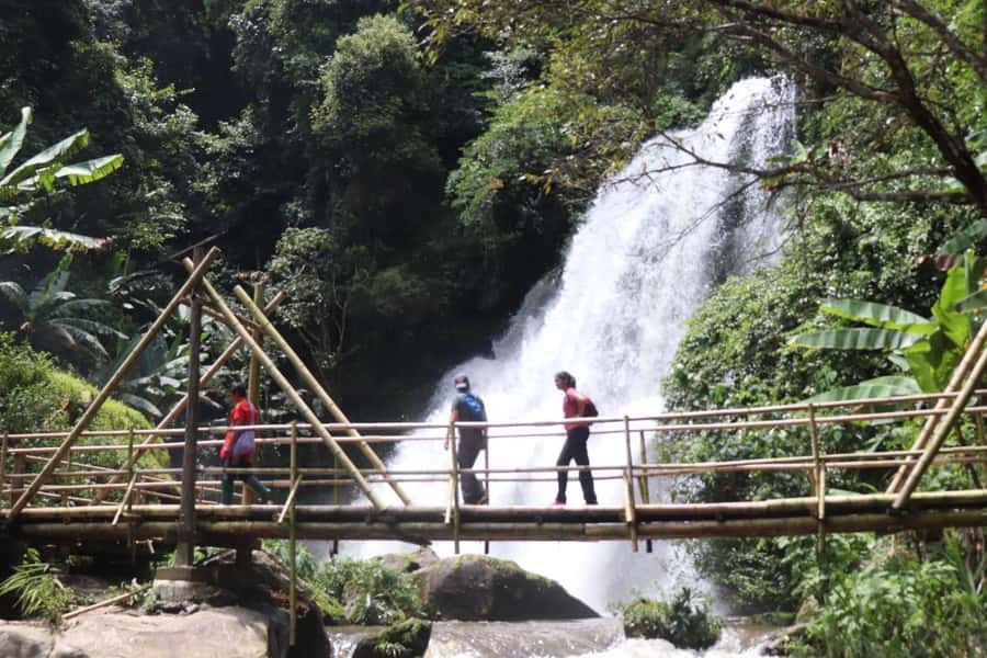 Chiang Mai: Mae Ya Waterfall & Pha Dok Siew Trail Trek - Mae Ya Waterfall Brings the Biggest Finish