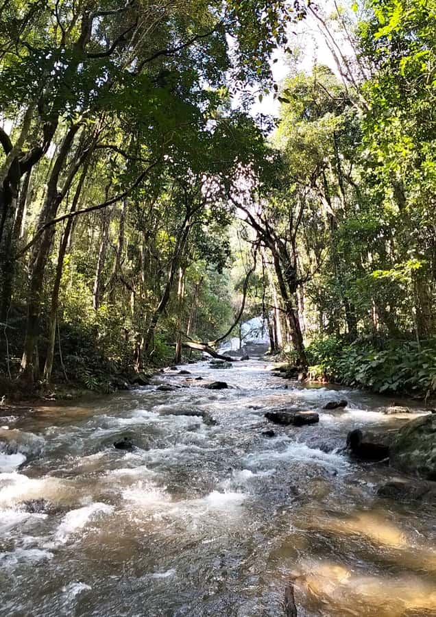 Chiang Mai: Mae Ya Waterfall & Pha Dok Siew Trail Trek - Is $80 a Fair Price?