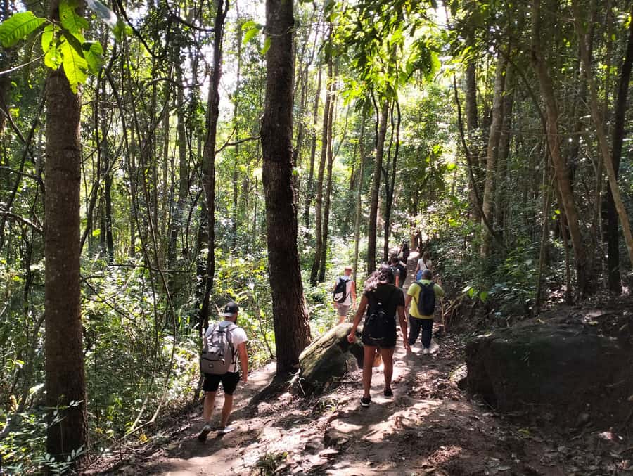 Chiang Mai: Mae Ya Waterfall & Pha Dok Siew Trail Trek - Wachirathan Waterfall Starts the Morning