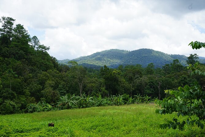 Chiang Mai Trekking Tour :Full day (no rafting) - A traditional Thai lunch in the forest