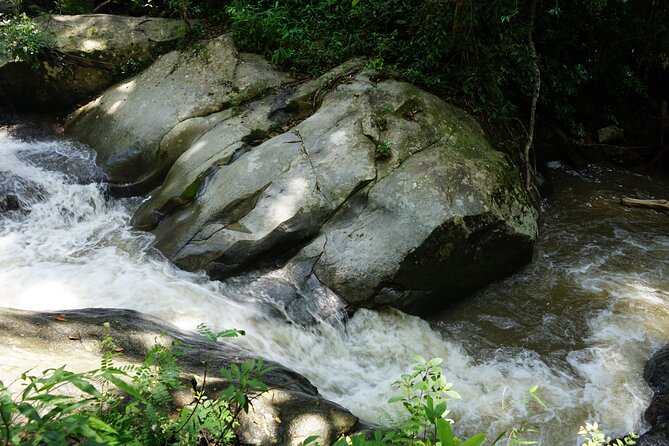 Chiang Mai Trekking Tour :Full day (no rafting) - Who should book this eight-hour outing