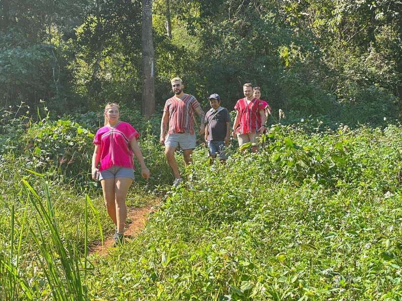 Chiang Mai Untouched Elephant: Nature Walk & Waterfall Trek - Walking through the jungle without saddles