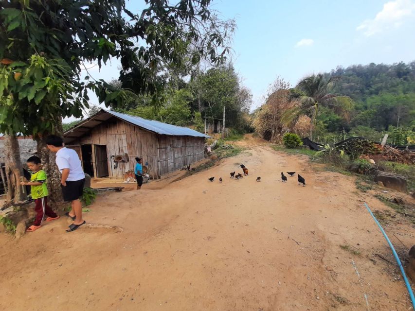 Chiang Rai 1 Day Jungle Trek with Bamboo Lunch & Local Guide - Is $70 a fair price?