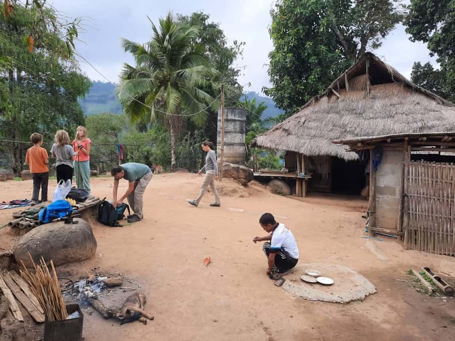 Chiang Rai 1 Day Jungle Trek with Bamboo Lunch & Local Guide - Walking through bamboo forest and rice country