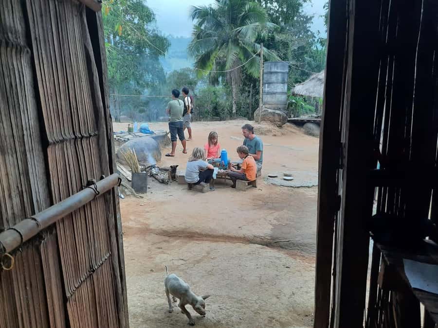 Chiang Rai 1 Day Jungle Trek with Bamboo Lunch & Local Guide - Starting around 9:00 in Chiang Rai