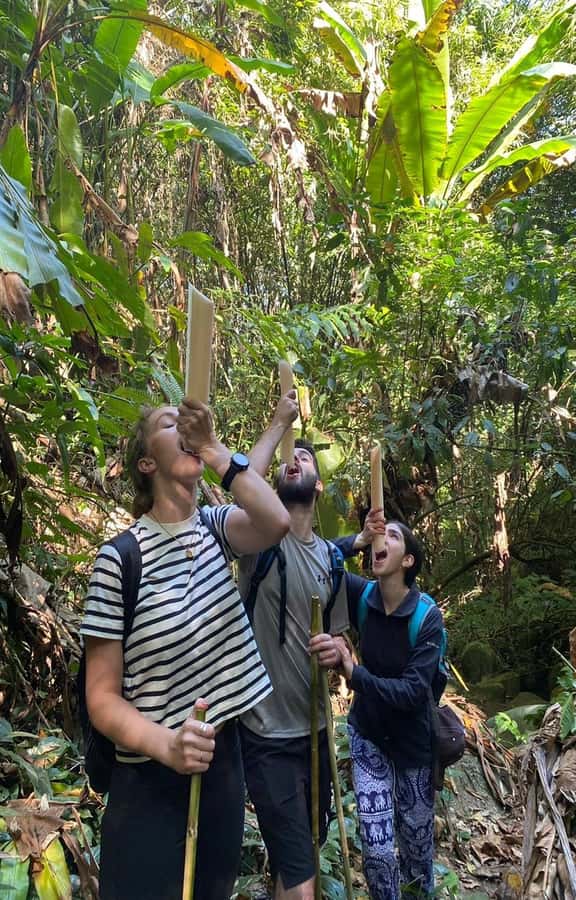 Chiang Rai: 1-Day Trekking and Longtail Boat Trip - Huay Kaew Waterfall rewards the effort