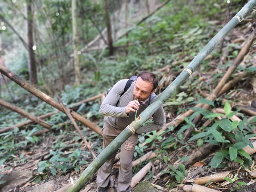 Chiang Rai: 2-Day Jungle Trek only walk with Waterfall - Key points to know before you book