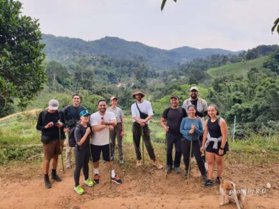 2-Day Jungle Trek only walk with Waterfall
