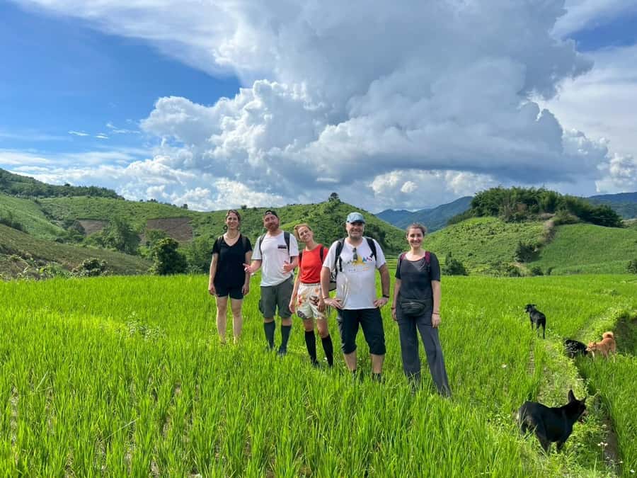 Chiang Rai: Jungle Adventure-Group Trekking & Bamboo Cooking - Key points to know before booking