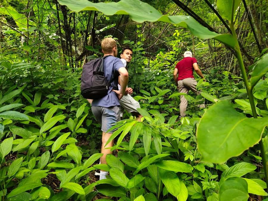 Chiang Rai: Jungle Adventure-Group Trekking & Bamboo Cooking - Meeting Lahu, Akha, and China Village communities